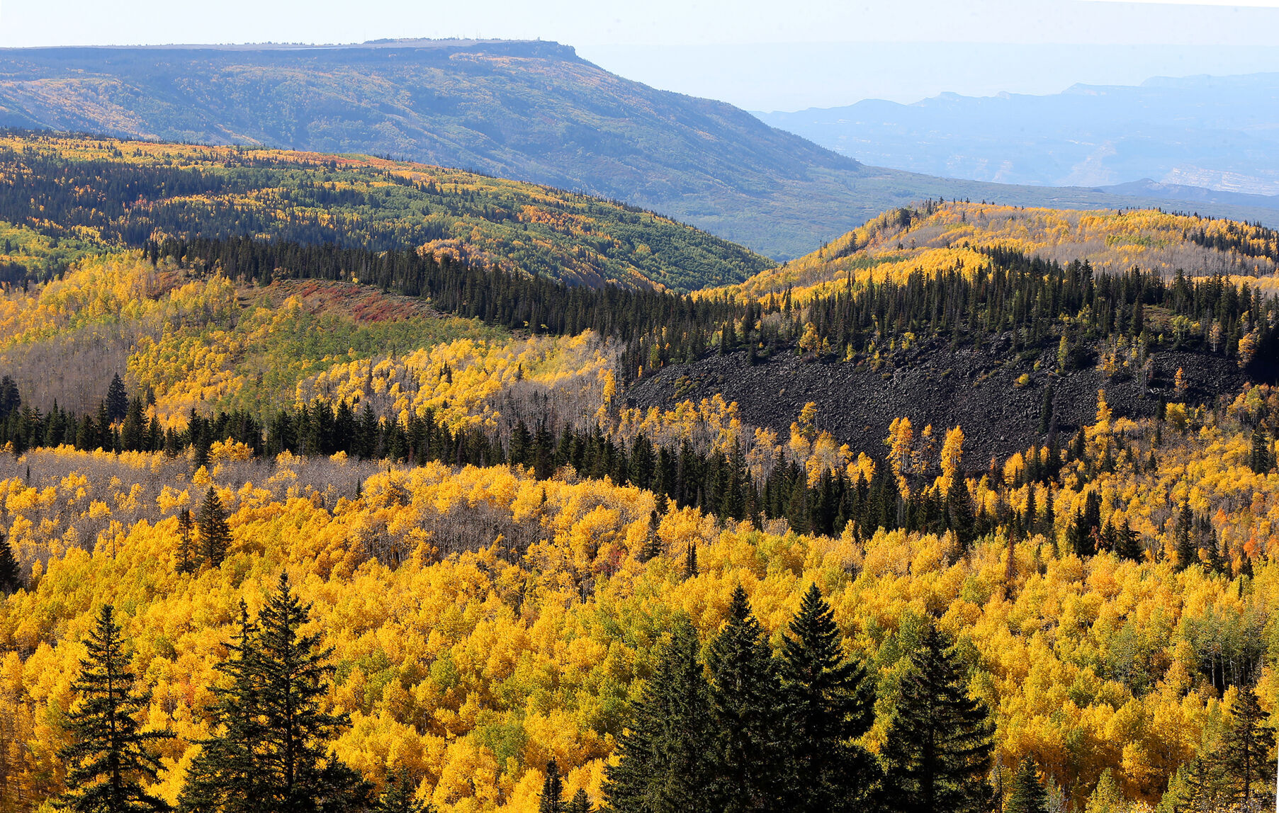 Grand Mesa 3.jpg